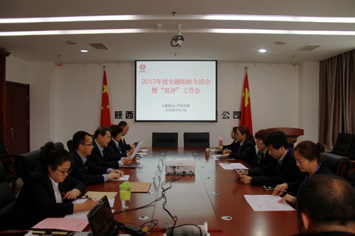 大秦置業(yè)公司:緊嚴(yán)并舉開好黨支部2017年度專題組織生活會(huì)暨雙評(píng)工作會(huì)