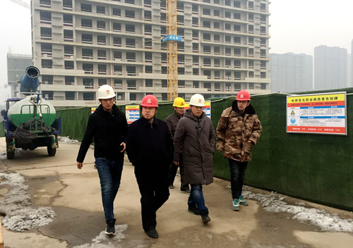 王寧深入藍(lán)山水岸項目檢查指導(dǎo)工作